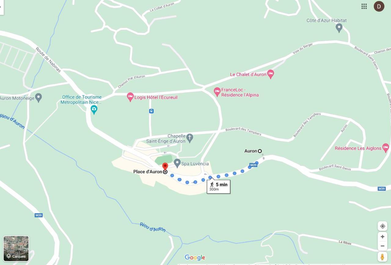 Cosy Appartement Au Calme A Deux Pas Du Centre Auron Eksteriør billede